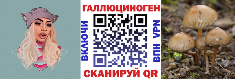 блэк спрут tor  Электросталь  Галлюциногенные грибы мухоморы  закладки 