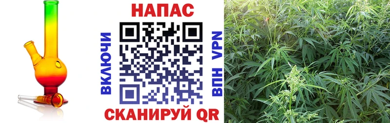 как найти закладки  kraken   Канабис семена  Электросталь 